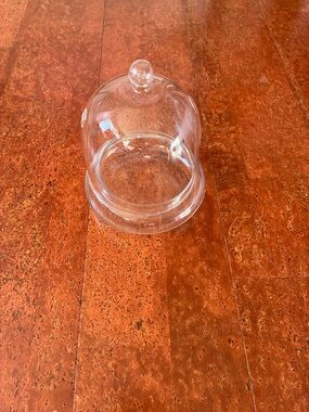 Glass Cloche with Two Air Holes Dome with Knob - Clear